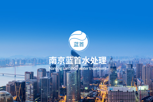 彭山建站-南京蓝首水处理设备有限公司