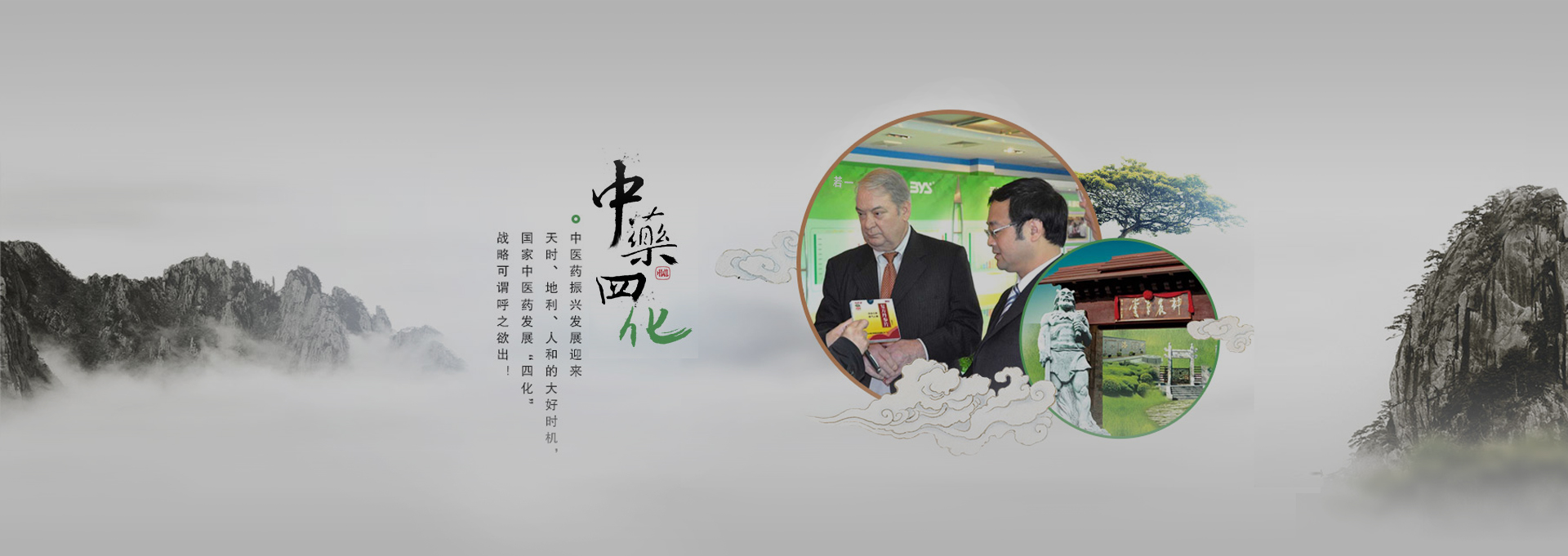 青神建站-若一医药科技