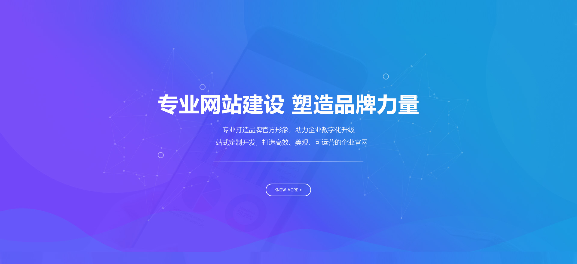 东坡建站-专业网站建设 塑造品牌力量