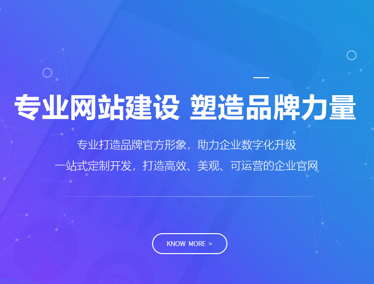 东坡建站-专业网站建设 塑造品牌力量